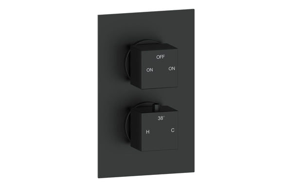 Harmony Amber Thermostatic Two Outlet Twin Shower Valve - Matt Black