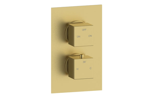 Harmony Amber Thermostatic Two Outlet Twin Shower Valve - Brushed Brass